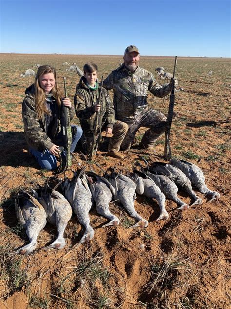 Guided Sandhill Crane Hunts Near Lubbock Tx West Texas Safaris