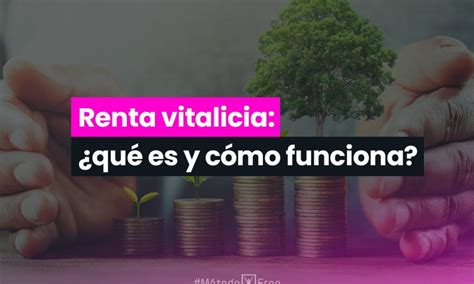 Qu Es Una Renta Vitalicia Y C Mo Funciona