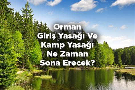 Ormana Giriş Yasakları Ne Zaman Bitecek Kamp Yasağı Ne Zaman Sona