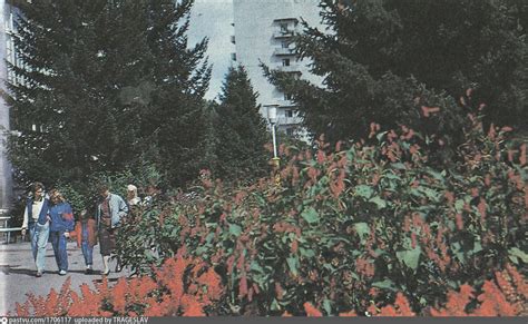 Санаторий "Алтай"