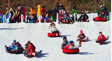 Gimhae Gaya Theme Park First To Open Sled Park In Southern Korea This Year