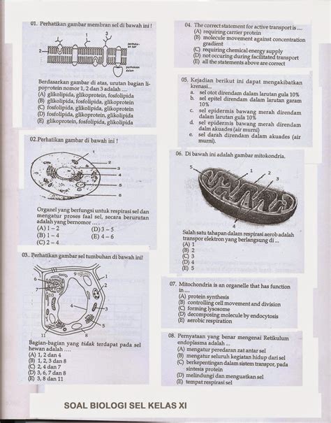 Contoh Soal Biologi Sel Kelas Riset