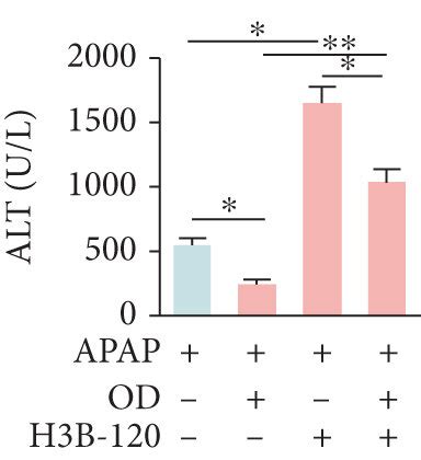 Oridonin OD Attenuates APAP Induced Liver Injury In A Urea