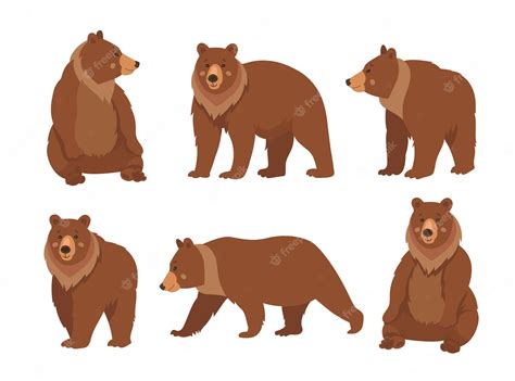 Premium Vector Wild Brown Bear Cartoon Character Flat Vector