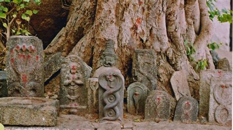 The Naag Cobra Temple Patnitop The Naag Cobra Temple Photos