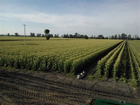 Cambio Clim Tico Grave Desaf O Para La Humanidad Fao