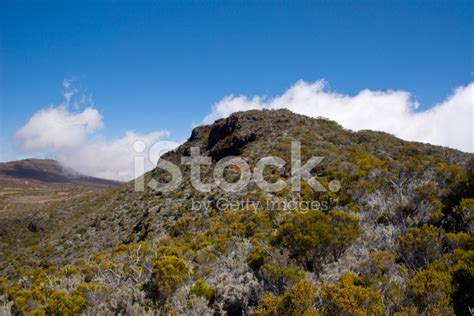 Hike To The Piton De La Fournaise Stock Photo | Royalty-Free | FreeImages