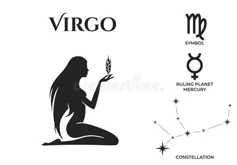 Virgo Zodiac Sign And Constellation Astrology And Horoscope Symbol Vector Image Stock