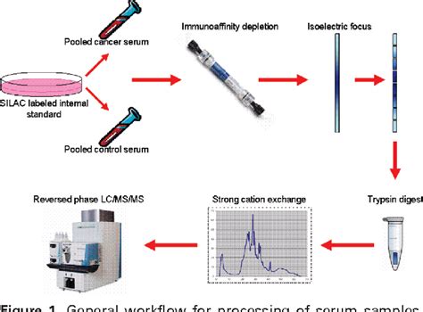 Figure 1 From Stable Isotope Dilution Multidimensional Liquid