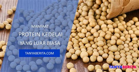 3 Manfaat Protein Kedelai Yang Luar Biasa Tanya Berita