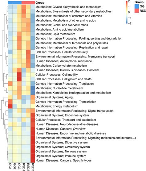 Heat Map Of Hierarchical Clustering Analysis Of The Top Abundant