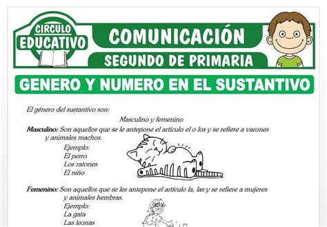 Género y Número en el Sustantivo para Segundo de Primaria Fichas GRATIS