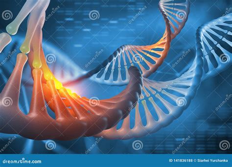 Illustrazione Del DNA 3d Sequenza Del Genoma Di Decodifica Studi