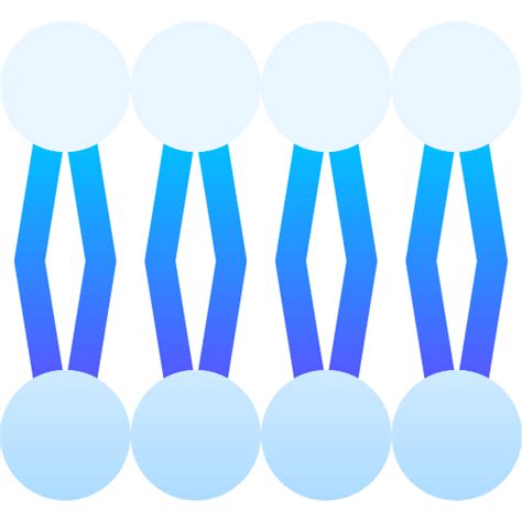 Lipid bilayer - Free healthcare and medical icons