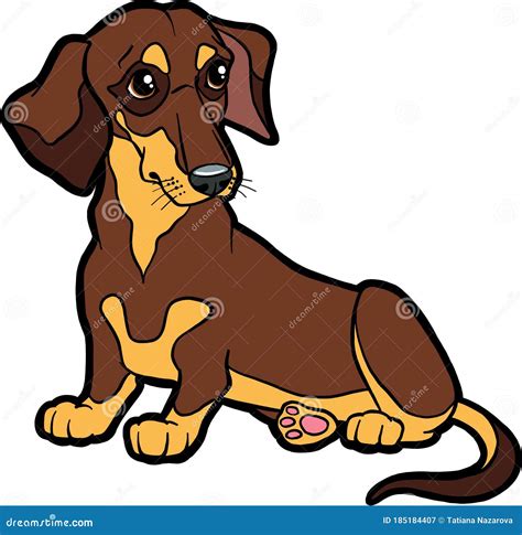 Cartoon Character Dog Dachshund Vector Dog On Isolated White