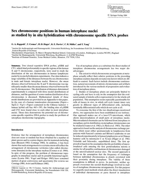 Pdf Sex Chromosome Positions In Human Interphase Nuclei As Studied By