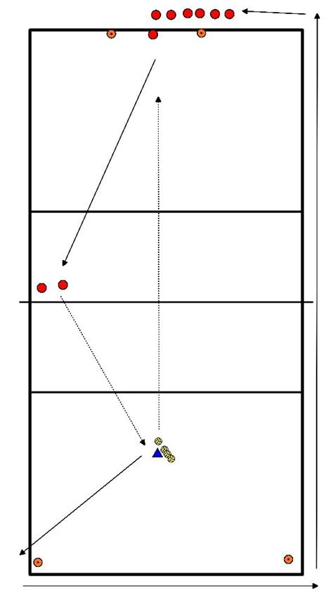 Volleyball Bung Verteidigen Pass Zu Understanding Mit Tempo