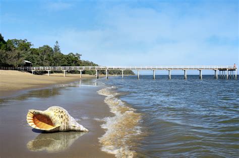 Fraser Coast Property On The Rise Mitchells Realty