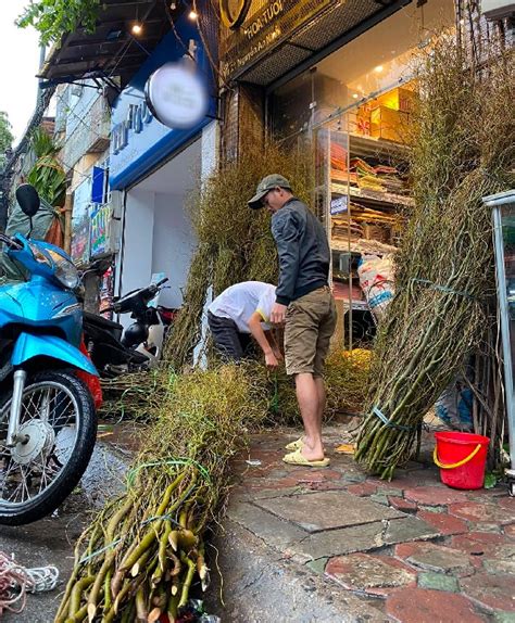 Cành cây nhập khẩu uốn lượn lạ mắt đang hot trend dịp cuối năm đồng bó cắm khá bền