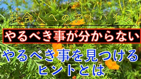 社会人へのアドバイス：お仕事でやるべき事が分からない？！やるべき事ってなんだろう？！やるべき事を見つけるヒントとは？！ Youtube