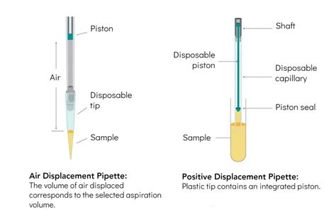 Pipette Vs Pipet Uncovering Differences For Lab Accuracy