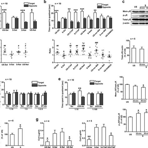 Vta Gaba Neurons Receive Direct Monosynaptic Camkiiα Positive Inputs