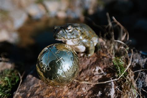 Das M Rchen Vom Frosch Und Der Goldenen Kugel Film Rezensionen De