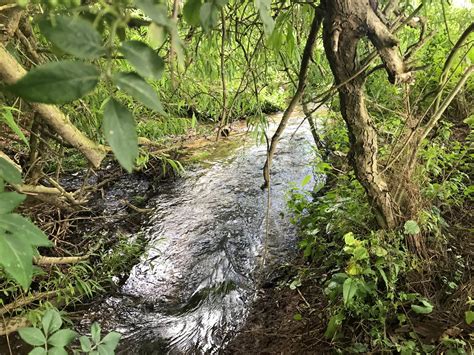 Branston Beck Restoration East Mercia Rivers Trust