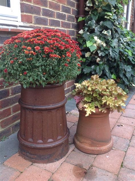 Victorian Chimney Pots Make Rather Unusual But Effective Planters In