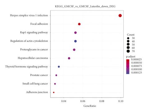 Transcriptional Changes Induced By Luteolin In Alveolar Macrophages