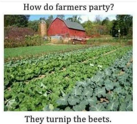 Memes The Survival Gardener