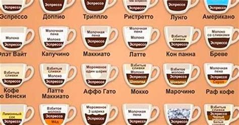 Кофе: сорта и разновидности напитка