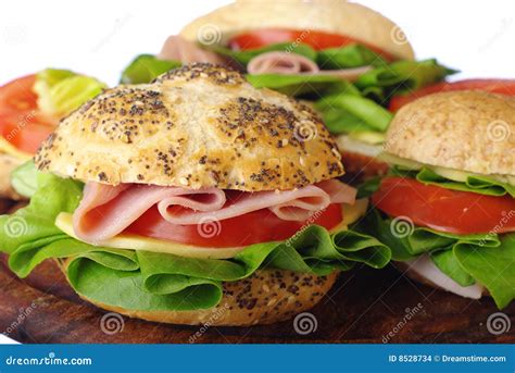 Tasty sandwich stock photo. Image of cheese, white, tomato - 8528734