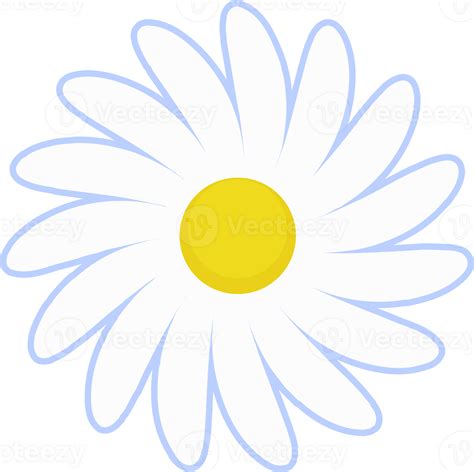 Daisy Flower Illustration White Chamomile Cartoon Retro Design