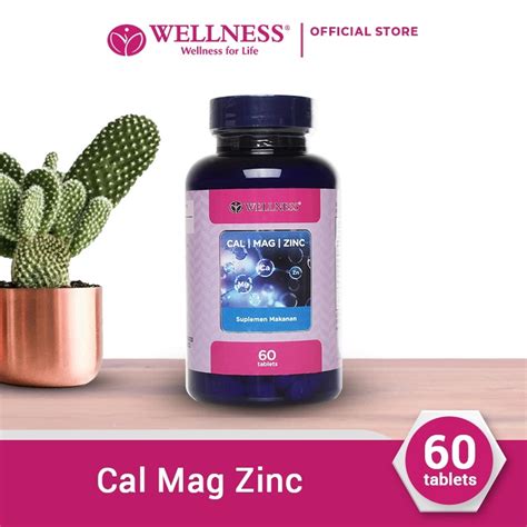 Wellness Cal Mag Zinc Tablets Cal Mag Zinc Calcium Magnesium