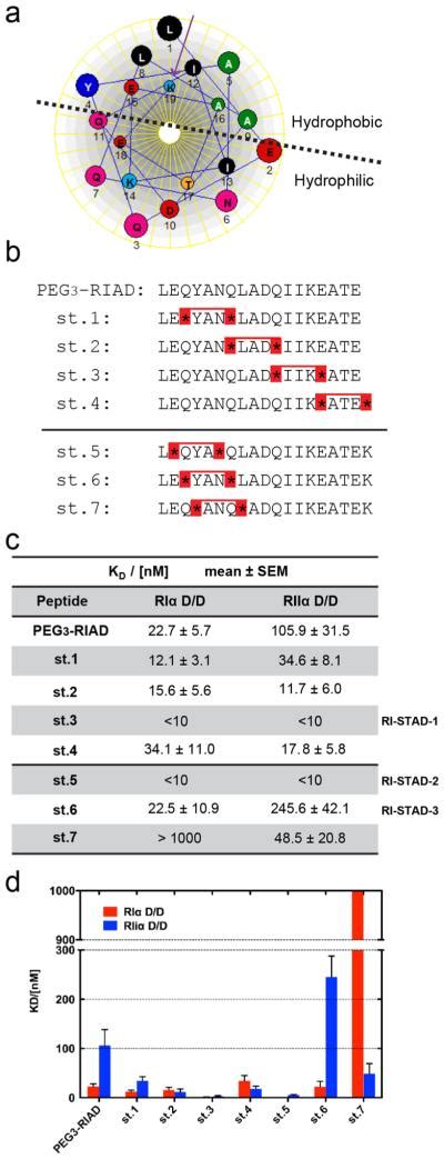 PKA Type I Selective Constrained Peptide Disruptors Of AKAP Complexes