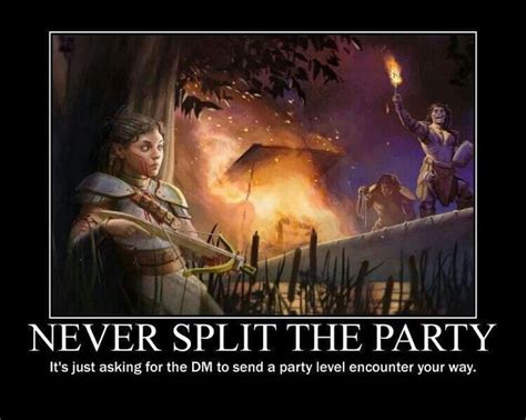 D D Meme Dump Dragon Memes Dungeons And Dragons Memes Dungeons And