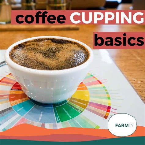 Coffee cupping basics - What everyone should know