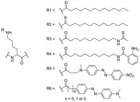 Ijms Free Full Text Continuous Fluorescent Sirtuin Activity Assay Based On Fatty Acylated