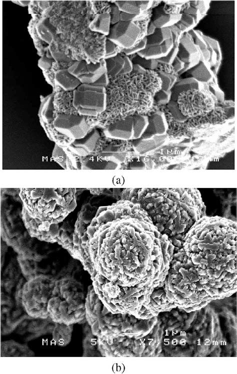 Sem Micrographs Of As Synthesised Zeolite Samples Using Microwave