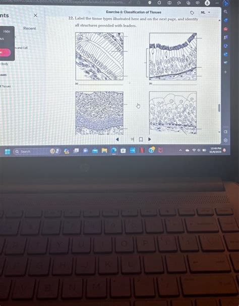 Solved Label The Tissue Types Illustrated Here And On Chegg