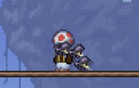 Terraria Character Rterraria
