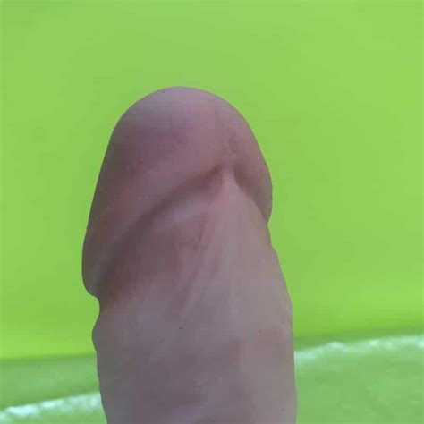 Silicone Willy S 8 Remote Controlled Dildo The Big Gay Review