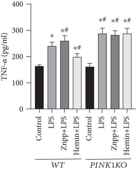 Ho Pink Pathway Alleviated Inflammation And Oxidative Stress Of