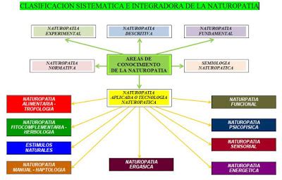 La Naturopat A Es Una Ciencia Que Requiere Destrezas Intelectuales