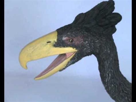 A Review Of The Collecta Kelenken Terror Bird Model By Everything