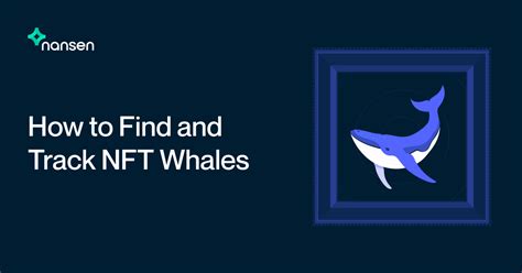 How To Find And Track Nft Whales