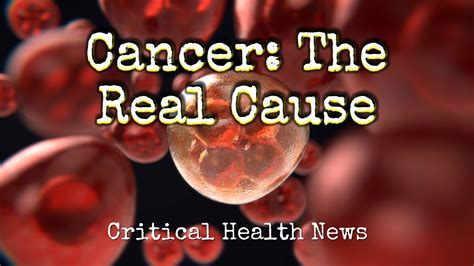 Demystifying Cancer Understanding The Cellular Roots Neversick Education