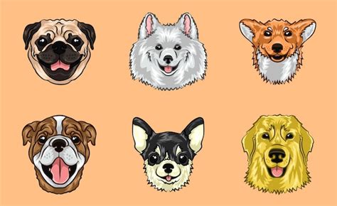 Premium Vector Illustration Of Dogs On Orange Background