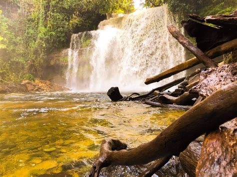 O Que Fazer Em Anavilhanas O Guia Completo Turismo De Natureza